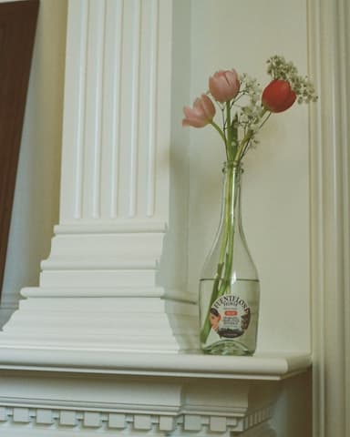 Flower Pot